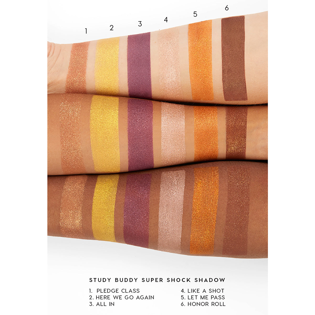 Pledge Class - Essential Set